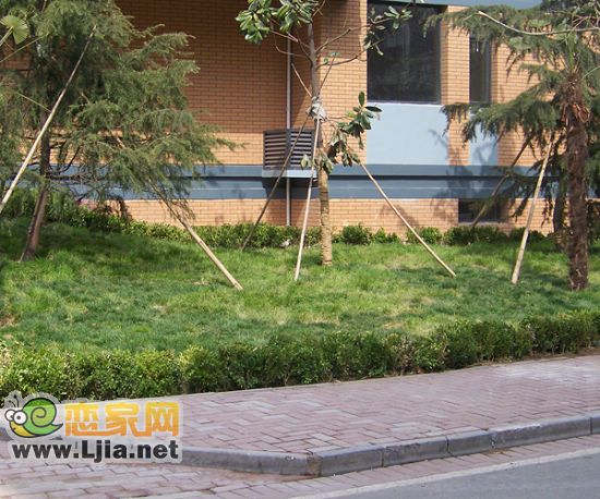 小區(qū)實(shí)景