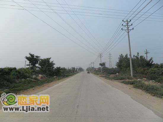 通往桃源山莊的小馬路
