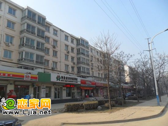 南湖花園小區(qū)周邊的底商