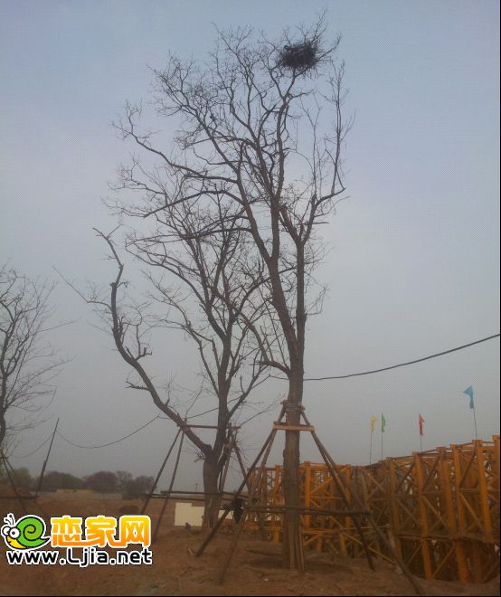 (sh)ĳݚD(zhun)ǧ(li)B
