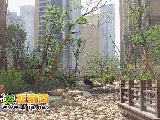 阿爾卡迪亞實景