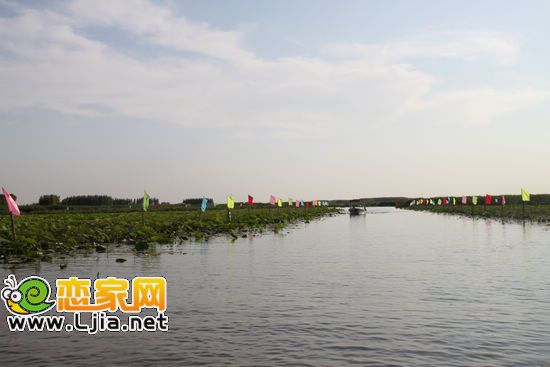 白洋淀風(fēng)光