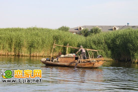 白洋淀風(fēng)光