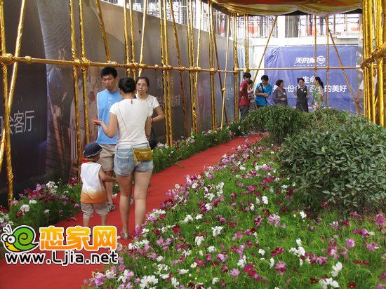 看房通道內(nèi)的鮮花