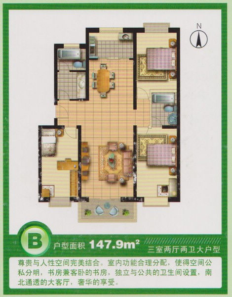 B戶型 147平米
