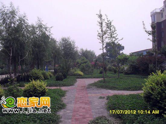 紫源京珠花園一期綠化