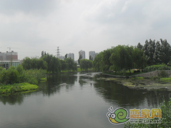 邯鄲滏陽河實拍
