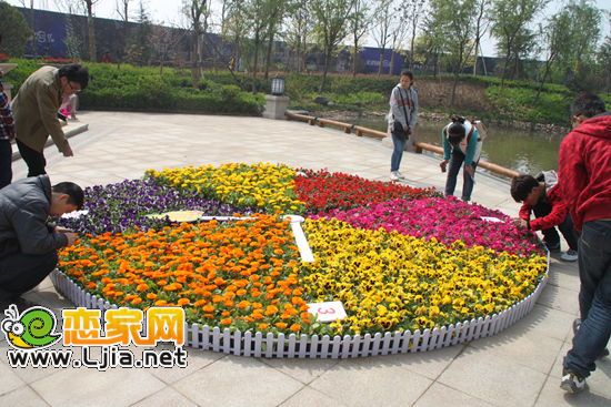 美的城首屆迎春花展