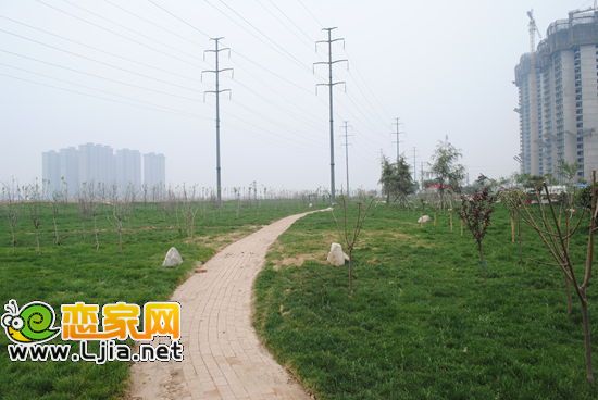 圣水湖畔綠化景觀帶