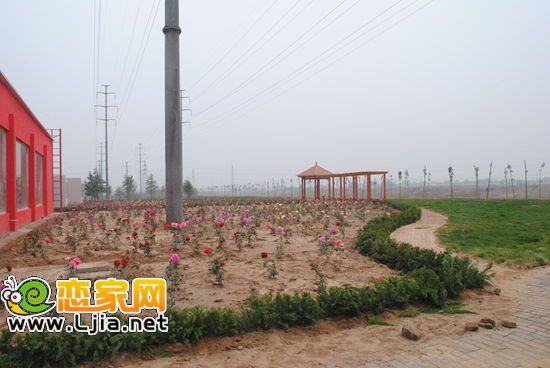 圣水湖畔綠化景觀帶