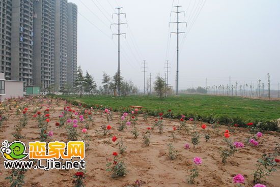 圣水湖畔綠化景觀帶