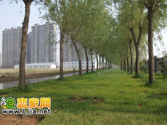 萬(wàn)聚凱旋城園林實(shí)景
