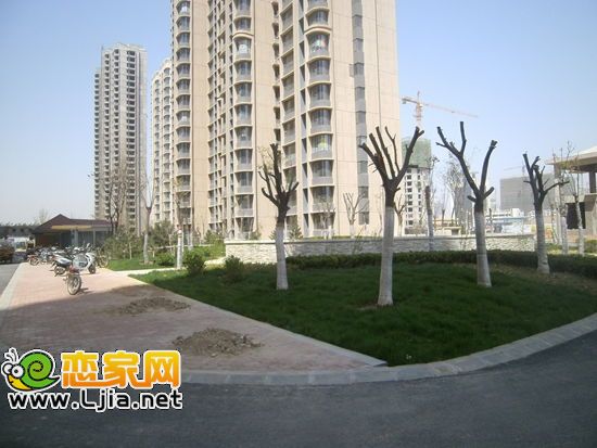 拉德芳斯北部二期園林實景