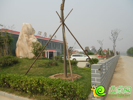 萬聚凱旋城沿河景觀帶