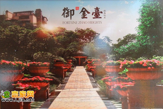 御趙金臺效果圖