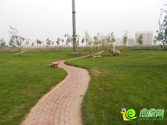 圣水湖畔沿支漳河綠化景觀帶實(shí)景