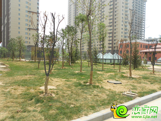 創(chuàng)鑫陽光華城園林實景