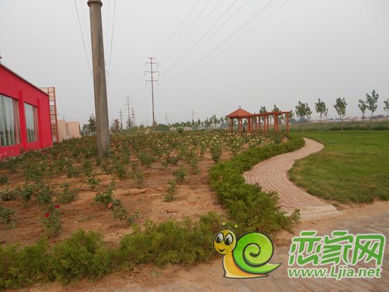 圣水湖畔沿支漳河綠化景觀帶