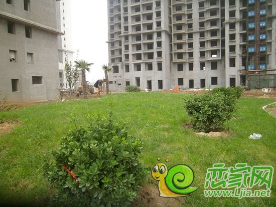 萬(wàn)聚凱旋城一期園林實(shí)景
