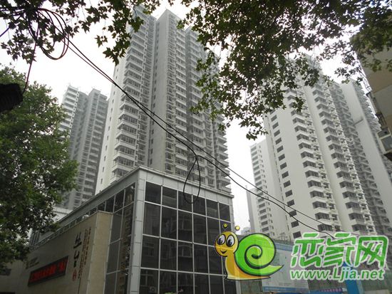 叢臺花園工程進度實景