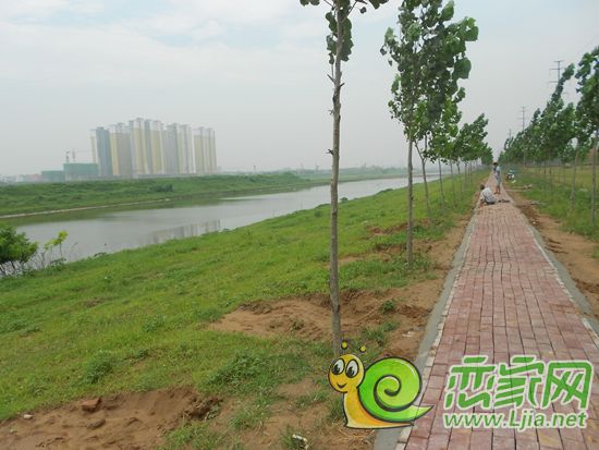 支漳河景色