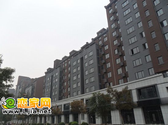 安居綠樹(shù)林楓沿街商鋪