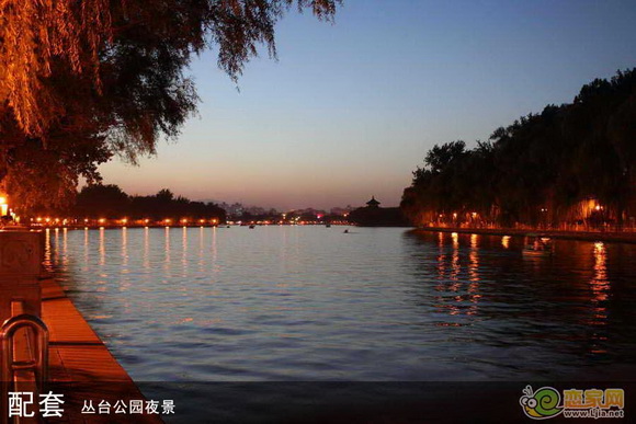 叢臺公園夜景