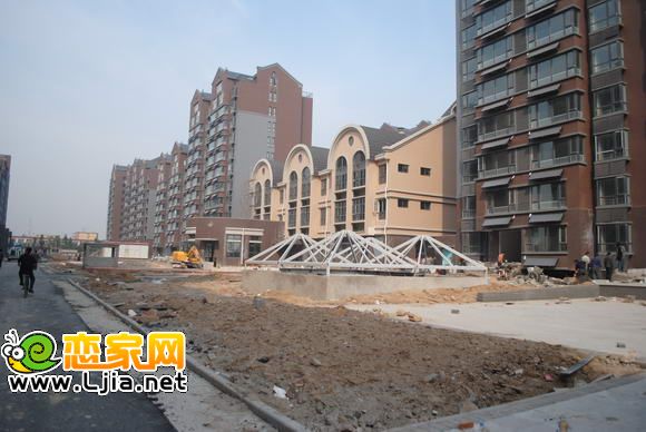 安居綠樹林楓