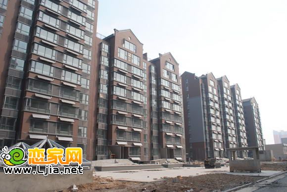安居綠樹林楓