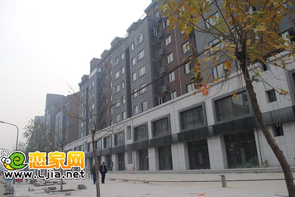 安居綠樹林楓沿街商鋪