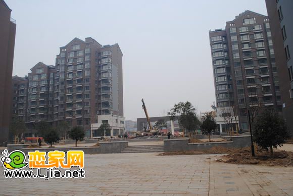 安居綠樹林楓內(nèi)部景觀