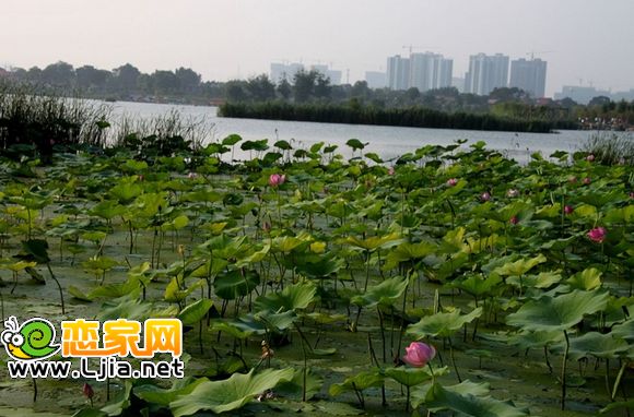 邯鄲南湖公園