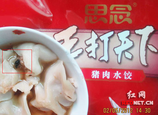 思念水餃蒼蠅