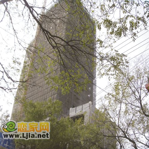 鑫嶺國際工程進展圖