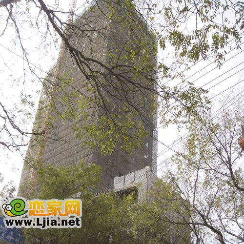 鑫嶺國際工程進(jìn)展圖