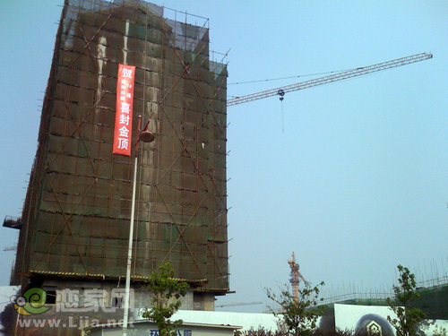 邯鄲安居綠樹林楓樓盤