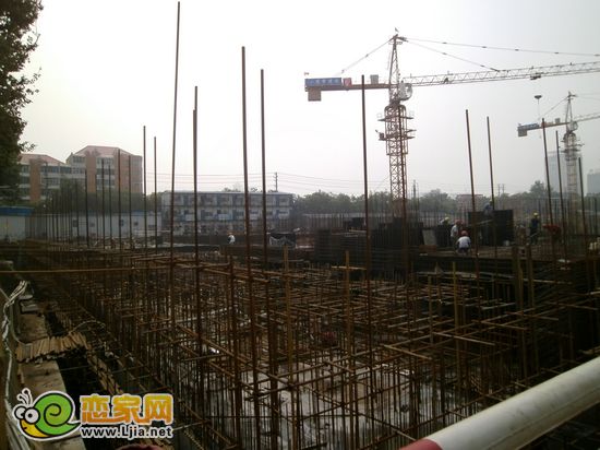 恒隆金豪庭工程進度