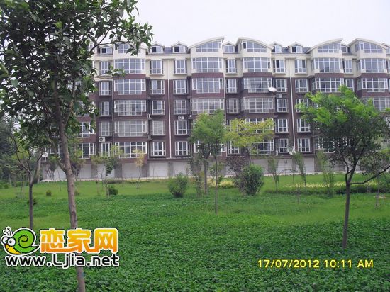 紫源京珠花園一期綠化