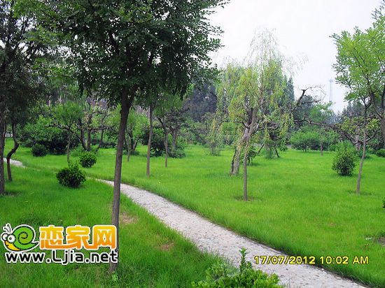 紫源京珠花園一期綠化