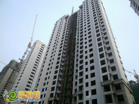 楓丹白露一期實(shí)景圖（2012.8.11）