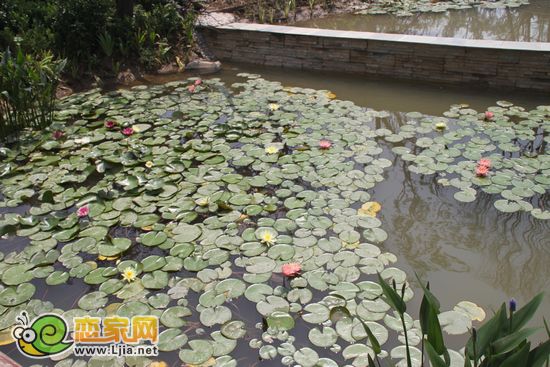 美的城景觀圖