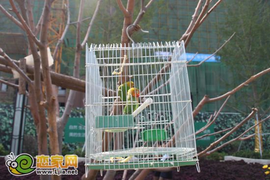 美的城景觀圖