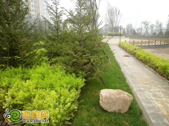 趙都新城一期五號地綠化