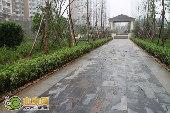 趙都新城5號(hào)地通往涼亭的小路
