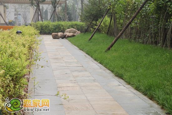 趙都新城5號(hào)地園林景觀