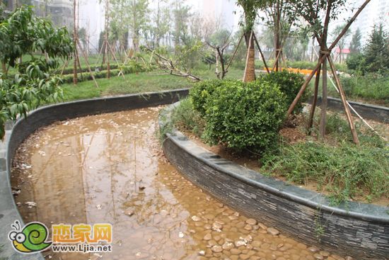 趙都新城5號地園林景觀池塘