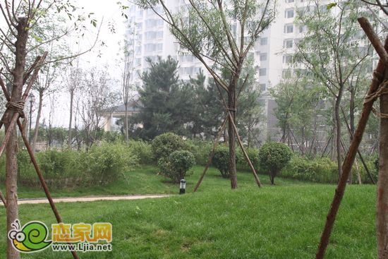 趙都新城5號(hào)地園林景觀遠(yuǎn)景