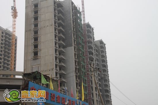 瑞德苑實(shí)景圖