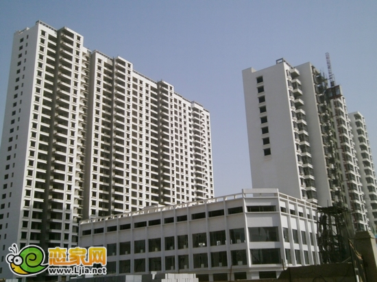 瑞德苑項目實景圖（2012.11.29）