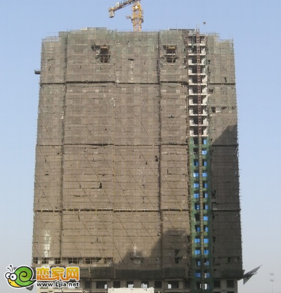 左岸楓橋1號樓樓王工程實景圖（2013.1.3）